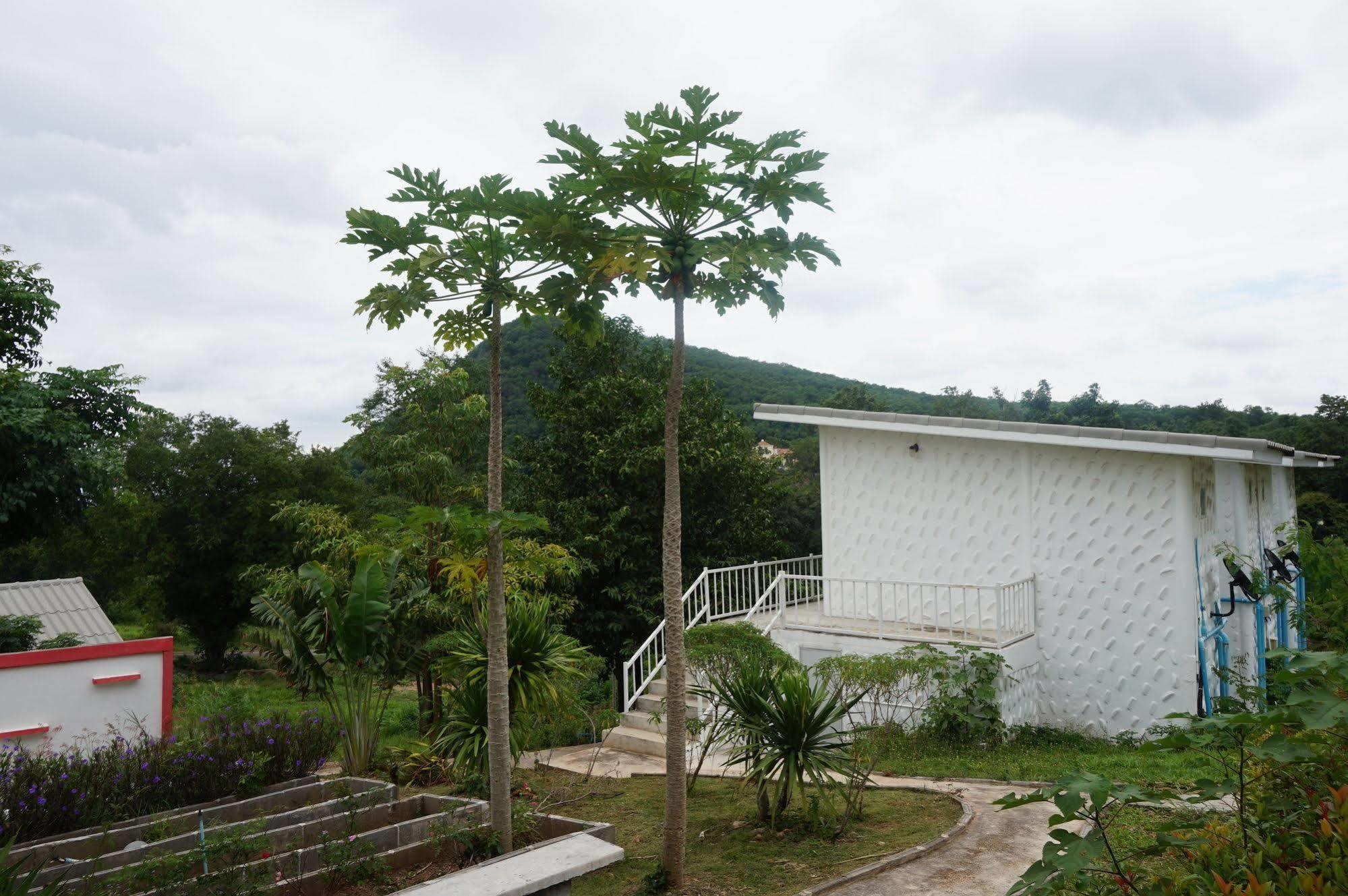 White Rock Resort Pakchong Luaran gambar